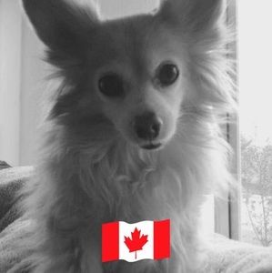 Meet your Posher, Angela